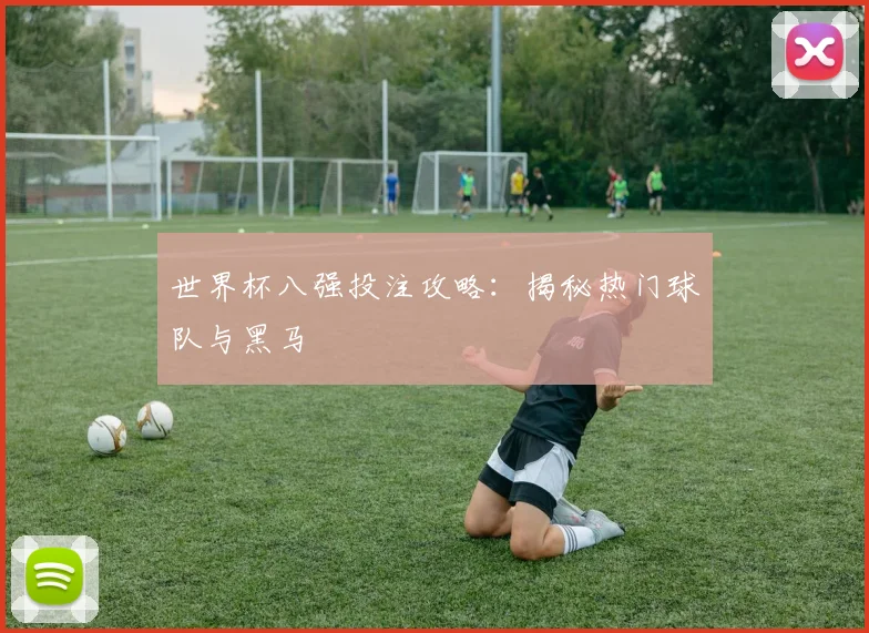 世界杯八强投注攻略:揭秘热门球队与黑马